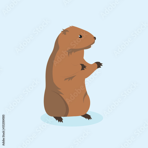 Gopher stands on its hind legs
