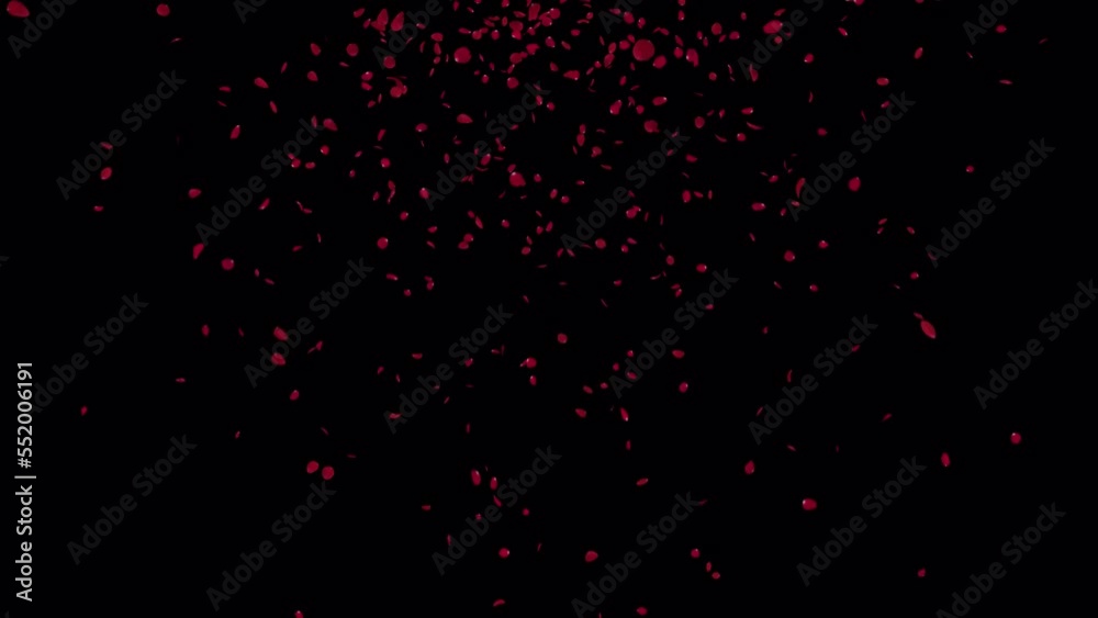 Red Rose Petals Fall Slow with alpha Channel. Element footage place on footage or background. Red Rose Petals Fall Slow with alpha Channel. Element footage place on footage or background.