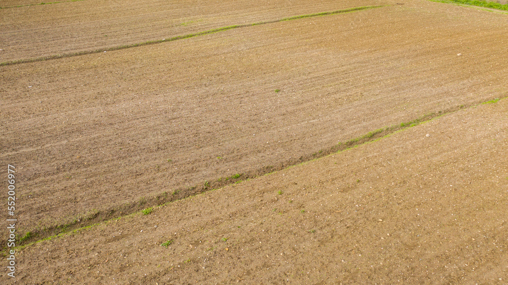 Aerial view of fields planted with wheat during in June