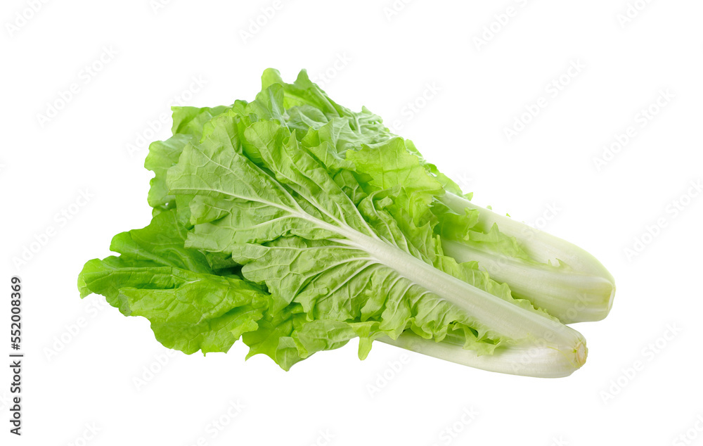lettuce leaves isolated on transparent png lettuce leaves isolated on transparent png