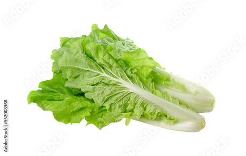 lettuce leaves isolated on transparent png