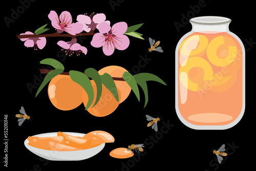 Blooming peach and fruit, jam and compote.