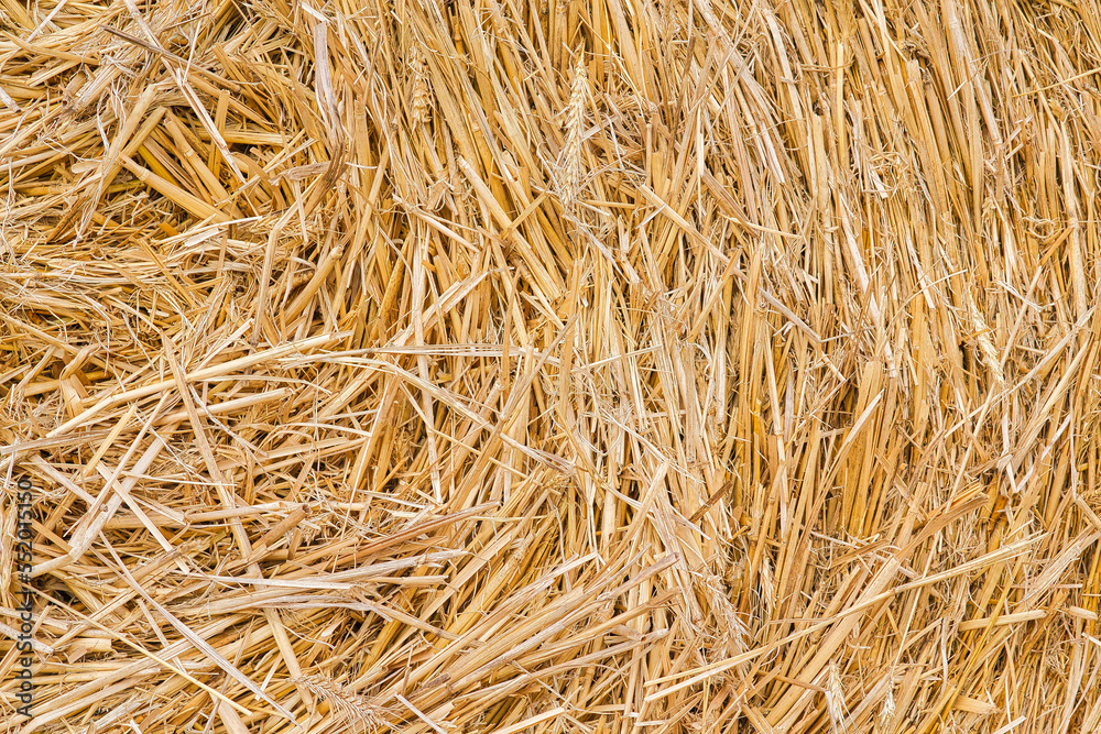 hey from a hay bales, background hey from a hay bales, background