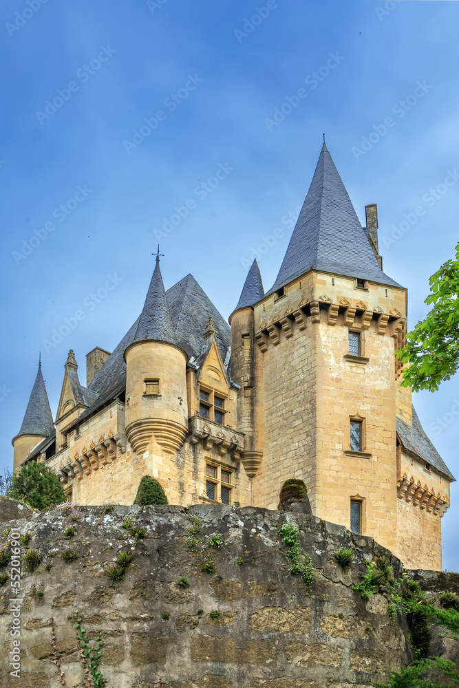 Chateau de Clerans, Saint-Leon-sur-Vezere, France