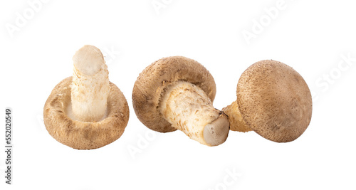fresh shiitake mushrooms on transparent png