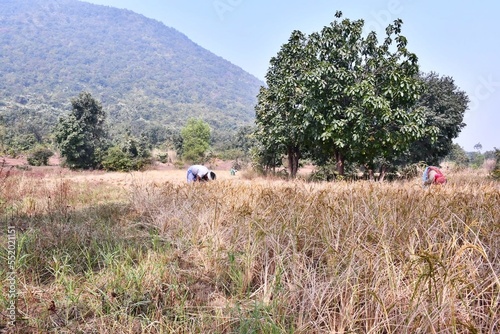 Biharinath Hill Bankura West Bengal India photo