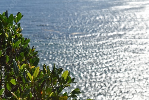 沖縄の果報バンタのエメラルドグリーンの海と青い空	