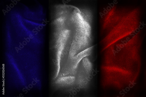 Valokuva French flag illustration (colors of france nation - blue/white/red)