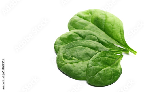Fresh green spinach leaves isolated on white 