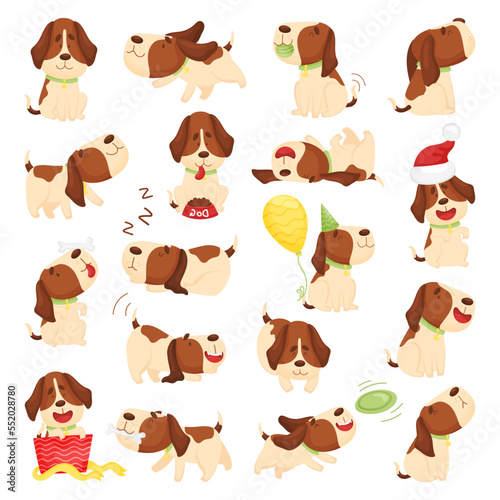 Cute Beagle Dog in Various Poses Big Vector Set