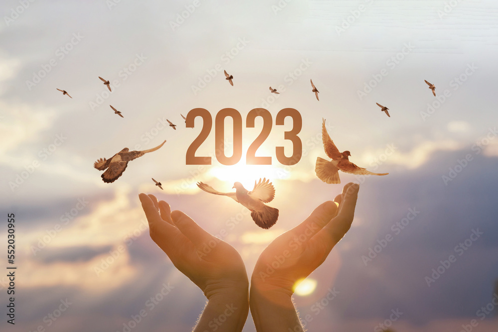 Concept of a new year 2023 with the hope of victory. - obrazy, fototapety, plakaty 