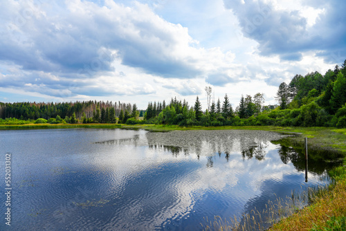 Hirschler pond near Clausthal-Zellerfeld in the Harz Mountains. Landscape with a small lake and idyllic nature. 