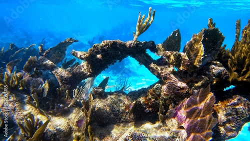 Underwater arch
