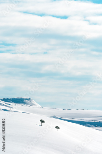 Two lonely trees at snow covered hills at Zlatibor mountain in winter © Bits and Splits