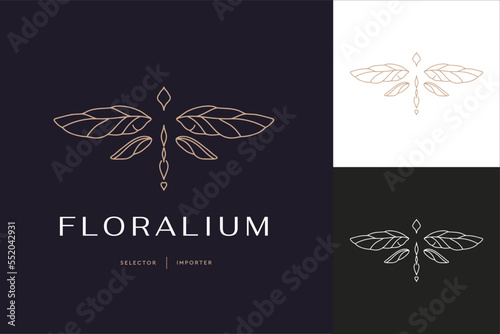 linear template logo symbols with luxury dragonfly on a nude background