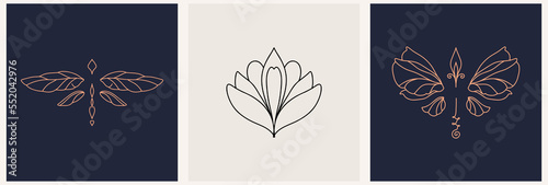 linear template logo symbols with luxury dragonfly and lotus on a nude background