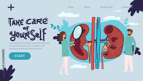 Doctors studying kidneys of donor at clinic. Medical persons checking human organ for surgery flat vector illustration. Nephrology, medicine concept for banner, website design or landing web page,