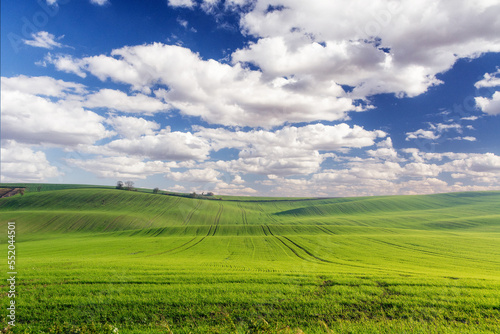 Green field  blue sky and white clouds. Kyjov  South Moravia  Czech Republic