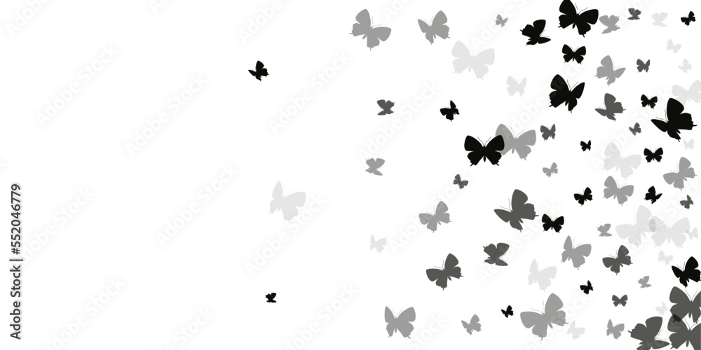 Magic black butterflies isolated vector background. Spring pretty moths. Fancy butterflies isolated dreamy illustration. Tender wings insects patten. Fragile beings.