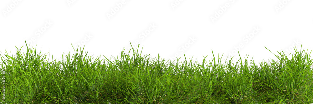Natural fresh green grass cut out backgrounds 3d rendering Natural fresh green grass cut out backgrounds 3d rendering