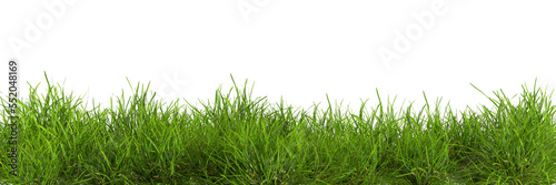 Fototapeta Natural fresh green grass cut out backgrounds 3d rendering