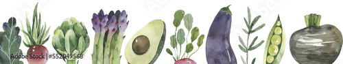 Advertising banner with fresh Vegetables, healthy food illustration, outlined hand drawn graphic