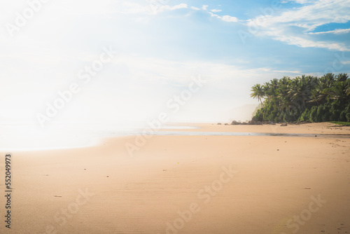 The ideal tropical beach