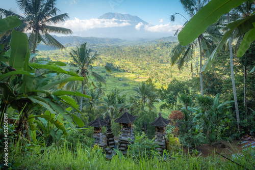 Fototapeta Naklejka Na Ścianę i Meble -  A tropical view of mount Agung in Bali