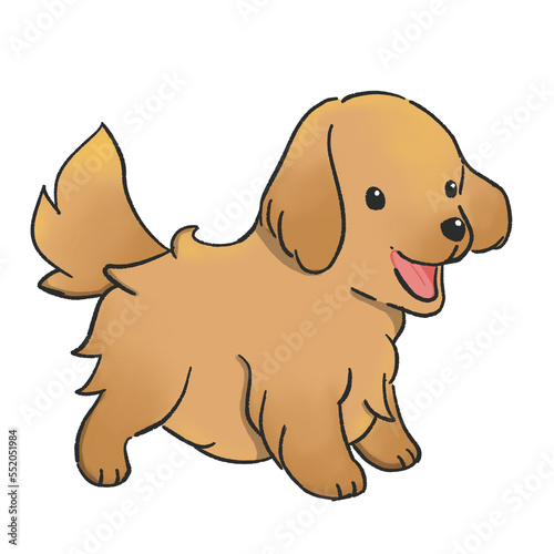 Illustration design of a hand drawn cute baby golden retriever dog cartoon style on transparent background.