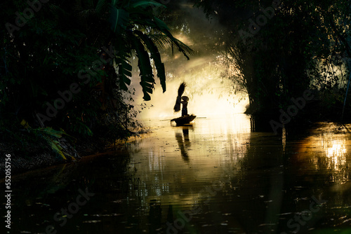 Photo of a local asian old man male boatman wearing conical hat rowing a small wooden boat across a small river during sunset time in a bamboo forest to deliver some dry grasses as animal feeds.  © asean studio