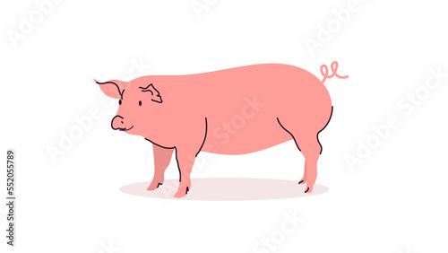 Cute pig and funny cartoon animal concept flat vector illustration.