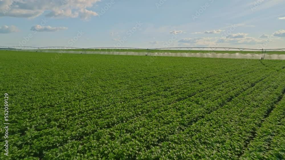 Agricultural irrigation of farm field. automatic artificial irrigation of the field for good harvest. smart agriculture eco farming concept artificial intelligence. agricultural irrigation land farm Agricultural irrigation of farm field. automatic artificial irrigation of the field for good harvest. smart agriculture eco farming concept artificial intelligence. agricultural irrigation land farm