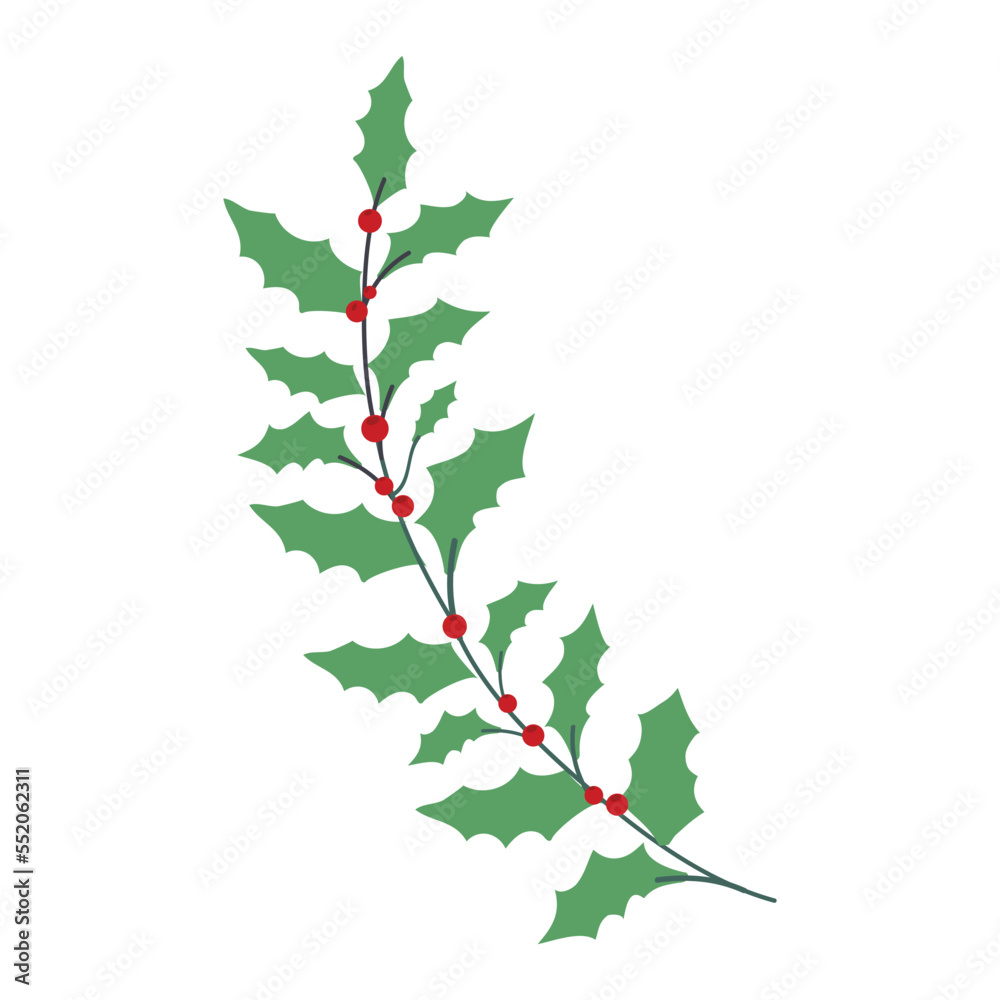 Christmas decoration branch leaf with red flower. Elements for your design, Seamless holly leaf with flowers, spruce branches, leaves and berries. Christmas decoration vector illustrations.