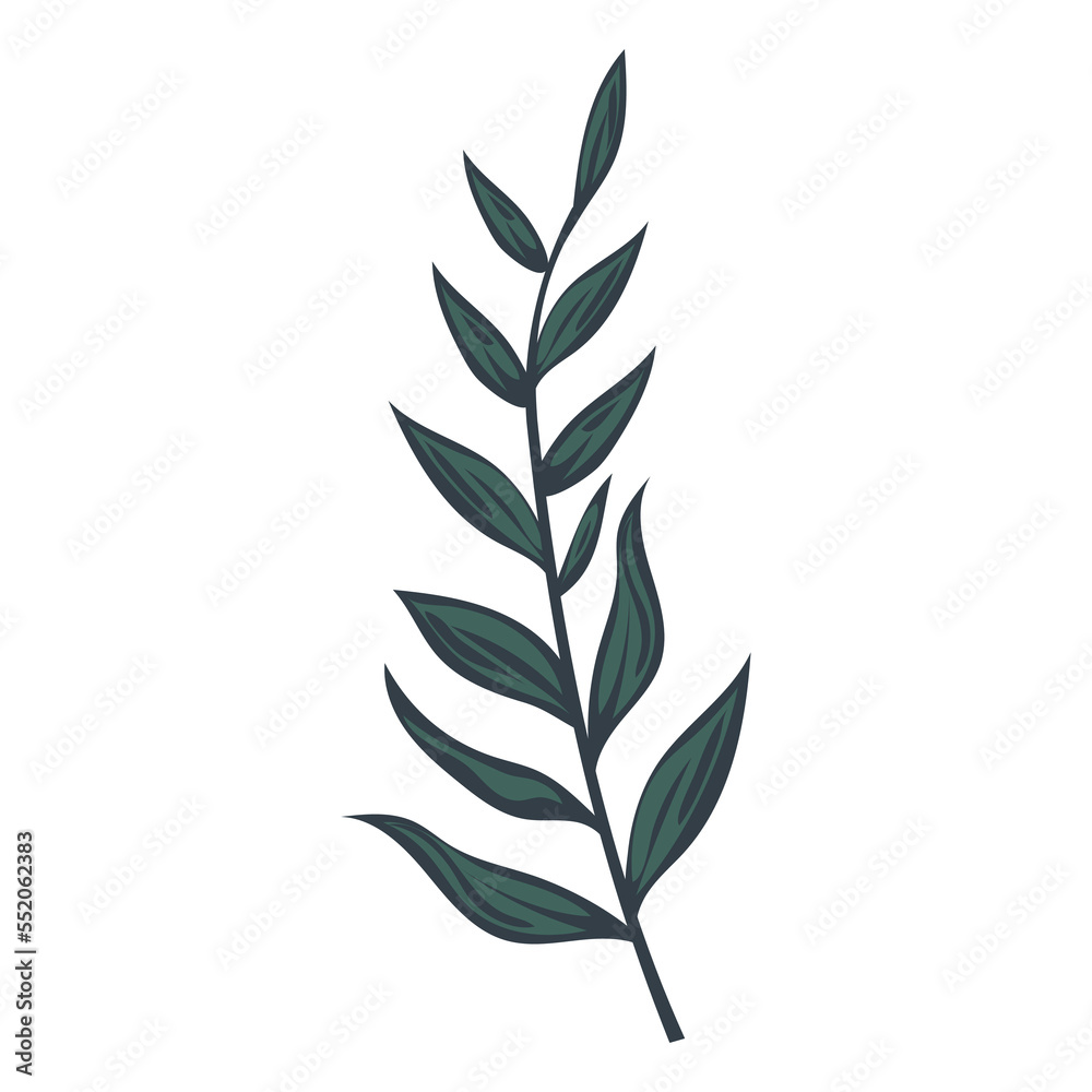 Christmas decoration green branch leaf. Elements for your design, Seamless holly leaf with flowers, spruce branches, leaves and berries. Christmas decoration vector illustrations.