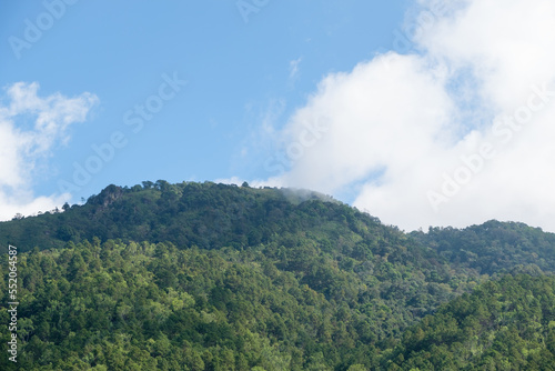 The peak of the high mountain in the rainforest area of the national park.