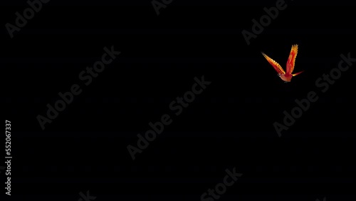 Phoenix Bird - Hot Red - Flying Around Screen Loop - Alpha Channel - Isolated 3D Animation