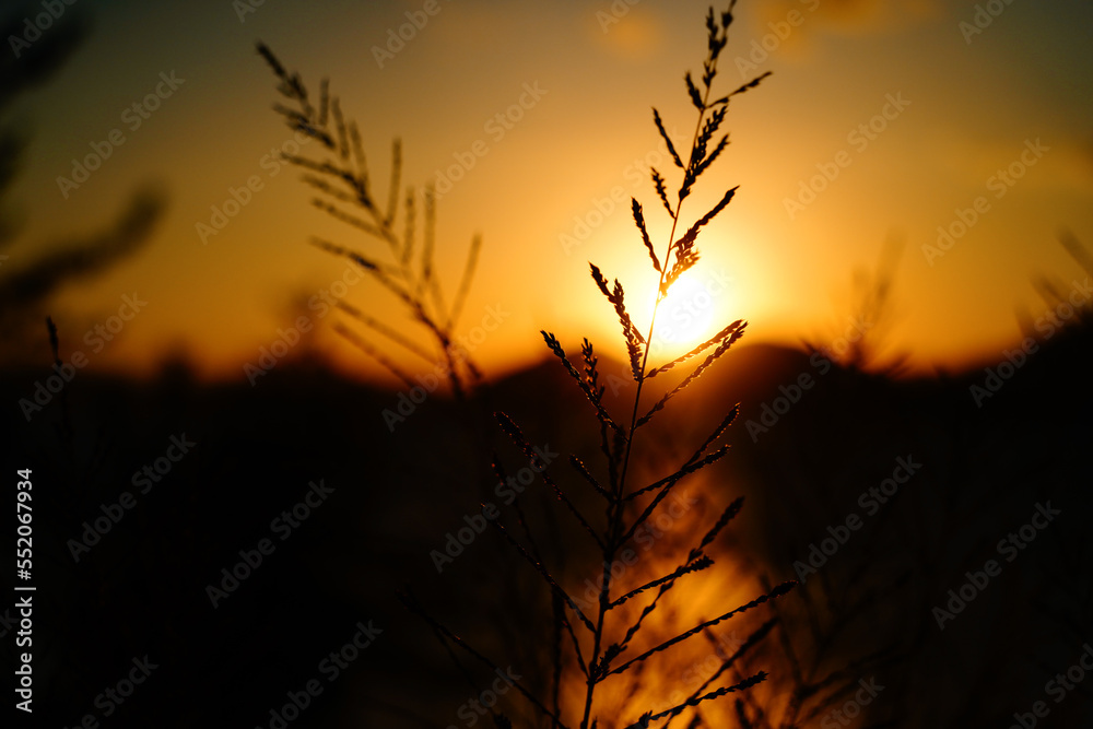 Obraz premium 노을