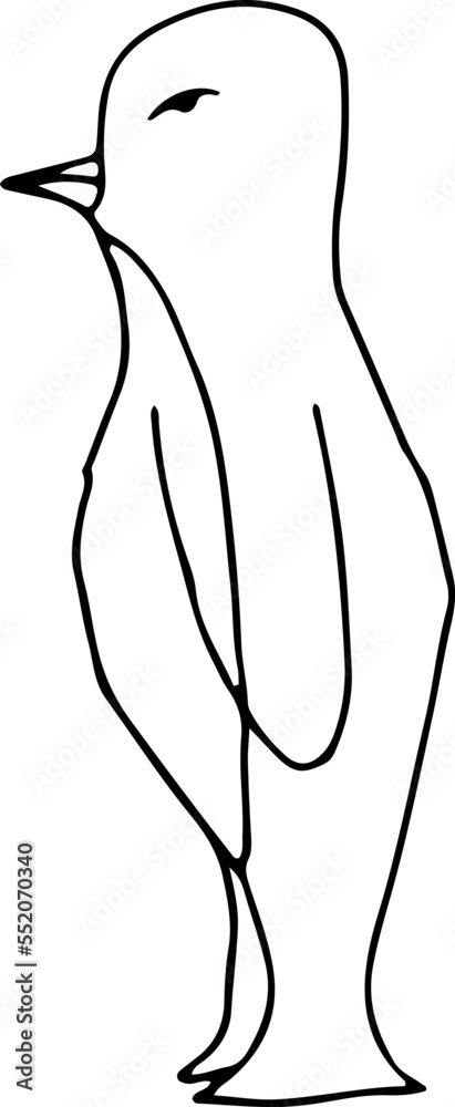 Bird icon, thin line style, flat design, hand drawn, hand drawn illustration Bird icon, thin line style, flat design, hand drawn, hand drawn illustration