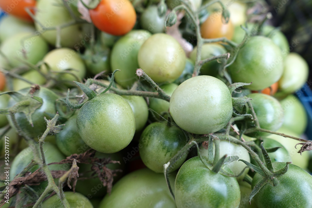 close-up village tomatoes in a bowl, hormone-free and non-GMO tomatoes, close-up village tomatoes in a bowl, hormone-free and non-GMO tomatoes,