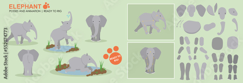 Cute Vector Elephant broken down ready to rig for animation. A collection of poses and angles, playing in water. Rig ready, animatable character. 
