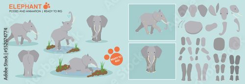 Cute Vector Elephant broken down ready to rig for animation. A collection of poses and angles, playing in water. Rig ready, animatable character. with tusks.