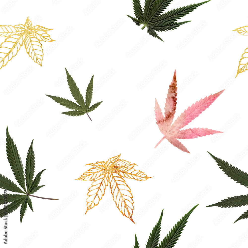 Marijuana watercolor seamless pattern with natural cannabis leaves. Cannabis golden leaves. Cannabis branch illustration. Medical marijuana. Weed set
