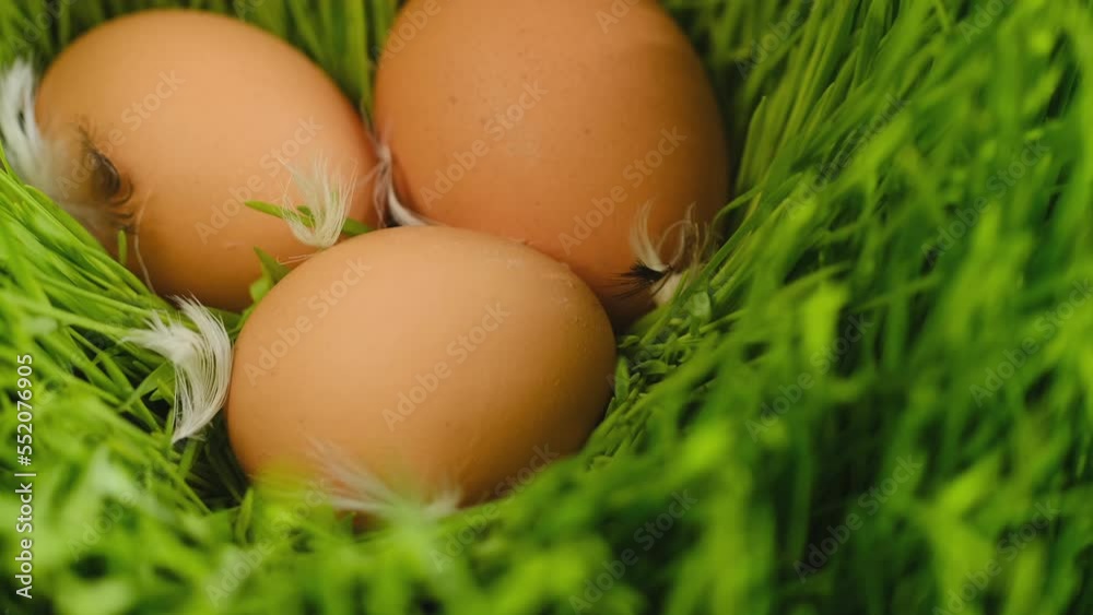 Chicken fresh raw eggs. Chicken egg, rotation shot, Many fresh raw chicken egg 4K Chicken fresh raw eggs. Chicken egg, rotation shot, Many fresh raw chicken egg 4K