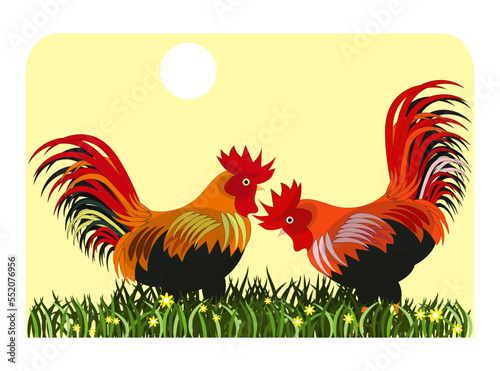 Two roosters on a green meadow under the scorching midday sun. Vector illustration