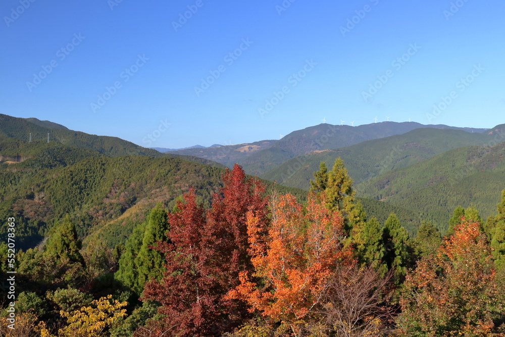甫喜ヶ峰森林公園 晩秋 (高知県 香美市) 甫喜ヶ峰森林公園 晩秋 (高知県 香美市)