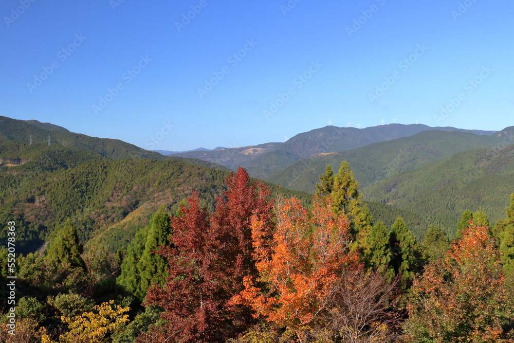 甫喜ヶ峰森林公園　晩秋　（高知県　香美市）