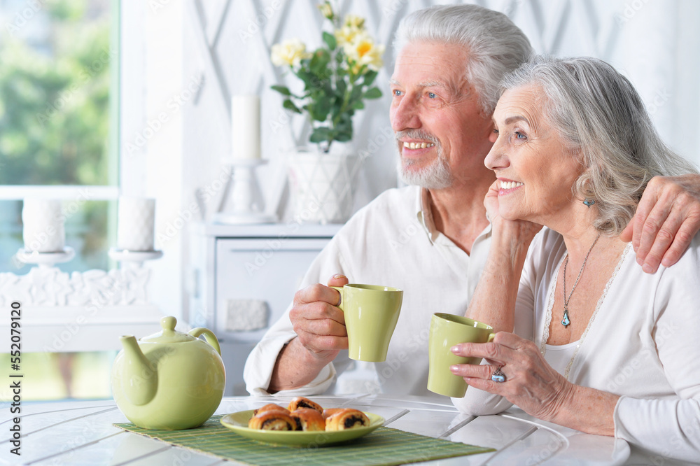 happy Senior couple portrait drinking tea