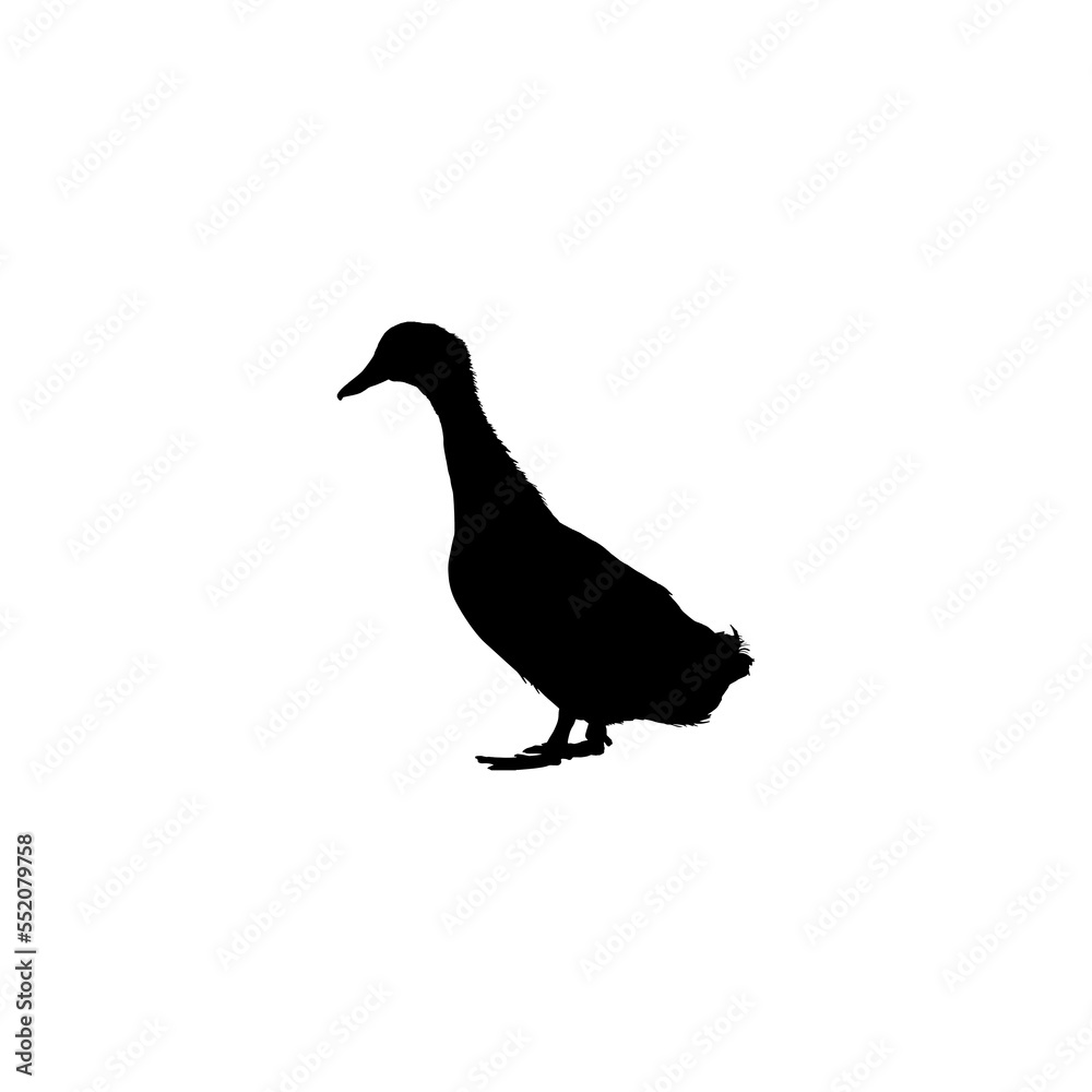 Duck icon. Simple style zoological garden ticket big sale poster background symbol. Duck brand logo design element. Duck t-shirt printing. vector for sticker. Duck icon. Simple style zoological garden ticket big sale poster background symbol. Duck brand logo design element. Duck t-shirt printing. vector for sticker.