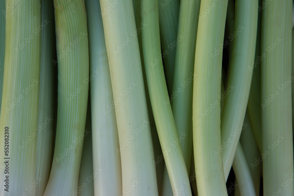 background of leek vegetables. High quality photo background of leek vegetables. High quality photo