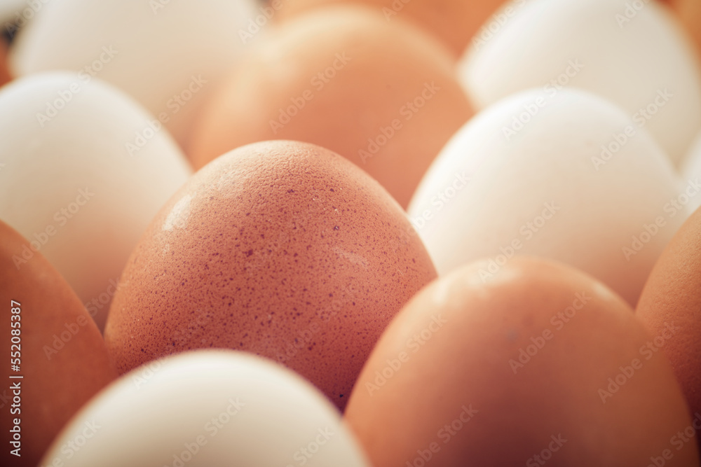 Eggs close up Eggs close up